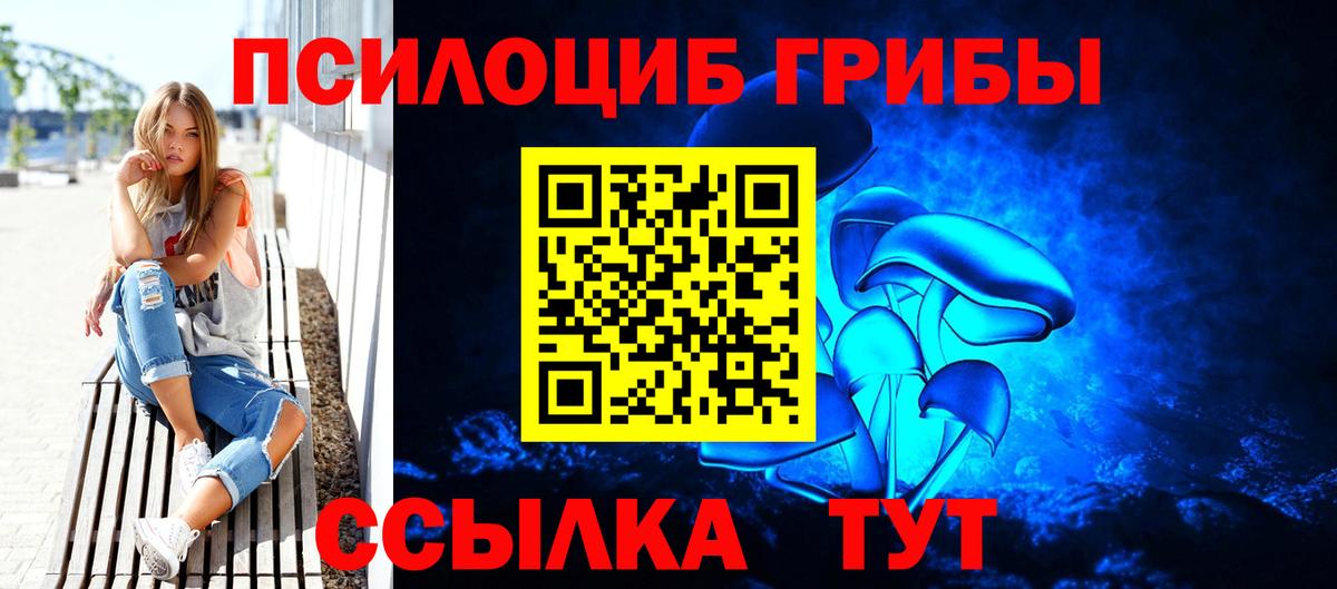 Псилоцибиновые грибы Psilocybine cubensis Скопин