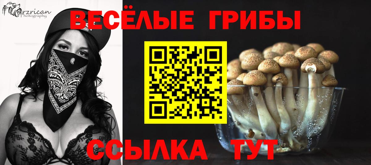 Псилоцибиновые грибы прущие грибы  Вход с VPN  цена наркотик  Скопин 